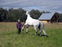 DSCN0053.webp