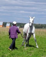 DSCN0055.webp