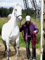 DSCN0057.webp
