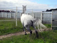 DSCN0060.webp