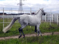 DSCN0061.webp