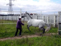 DSCN0062.webp