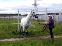DSCN0064.webp