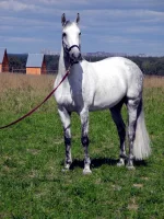 DSCN0044.webp