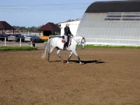 DSCN0013.webp