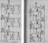horse_75_scaled_image.jpg