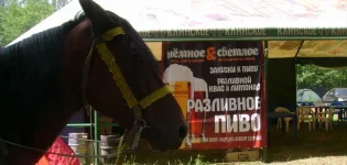 о чём мечтают лошади.webp