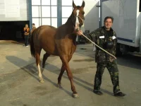 азарт 15.webp