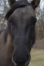 февраль 2012 129 (427x640).webp