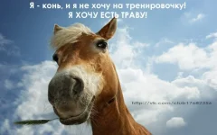 CY7LIlq_iQc.webp