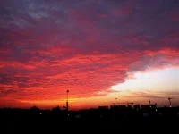 IMG_0001.webp