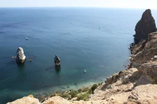 сев5.webp