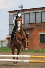 YsW_Kz0lhew.webp