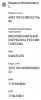 gY9x-fRP4Iw.jpg