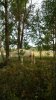 IMG_20180905_163918_646.jpg