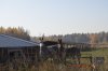 _DSC0060.JPG
