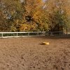 IMG_20181031_131631_755.jpg