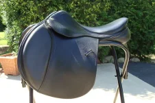 saddle.webp
