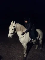 nZRsQwNRdQE.webp