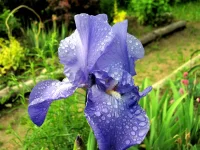 IMG_0287.webp