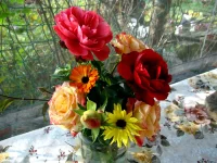 =IMG_4027.webp