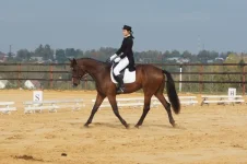 DSC00764.webp