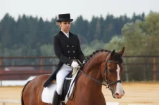 DSC00729.webp