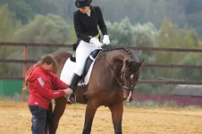 DSC00616.webp