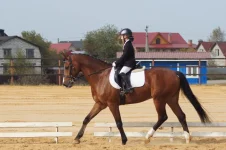 DSC00915.webp