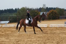 DSC00974.webp