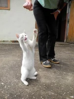 DSCN0175.webp