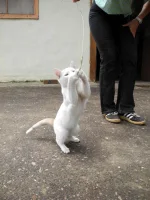 DSCN0176.webp