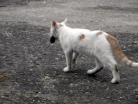 DSCN0258.webp