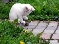 DSCN0268.webp