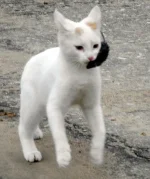 DSCN0276.webp