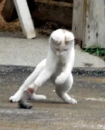 DSCN0293.webp