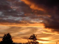 DSCN0509_1r.webp