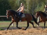 NAT_5284.webp