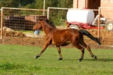 IMG_7438_2.webp