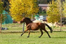 IMG_7497_5.webp