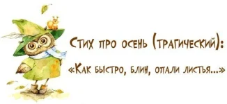 hJs-qTorP20.webp