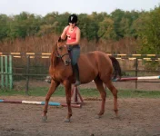 YY0P2082-82.webp