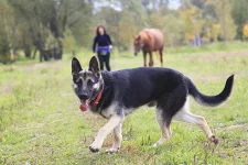 Копия _MG_9137.webp