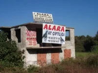 DSCF9560.webp