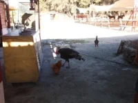 DSCF9561.webp