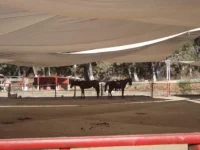 DSCF9563.webp