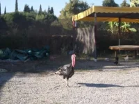 DSCF9565.webp