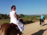 DSCF9613.webp