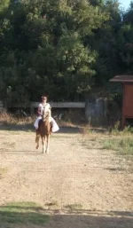 DSCF9622.webp