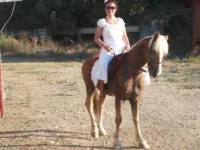 DSCF9625.webp